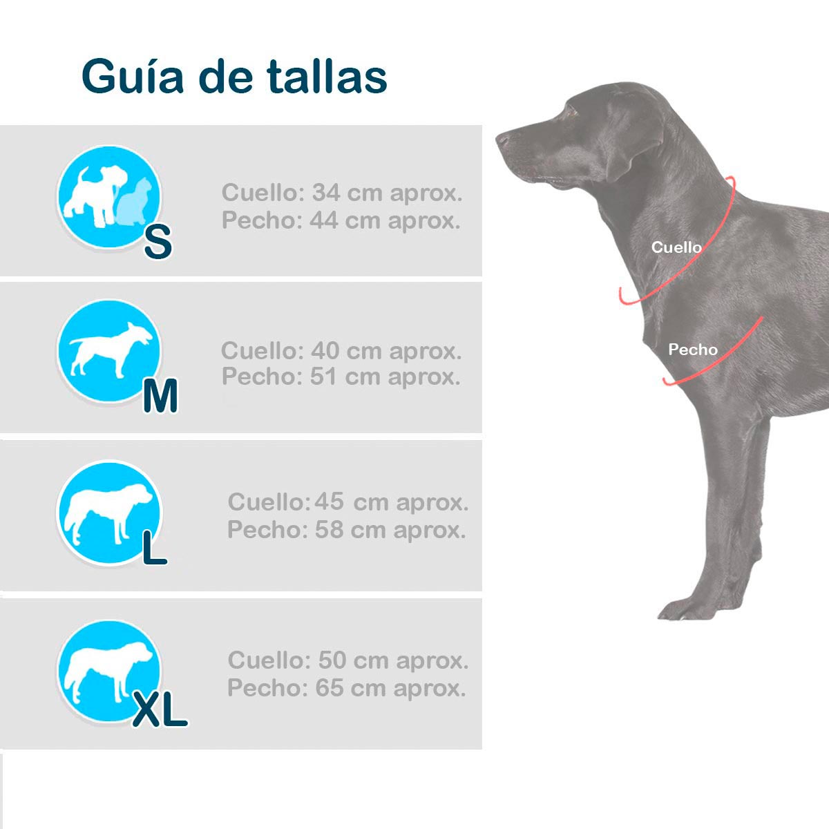 Disfraz para Mascotas de Bella