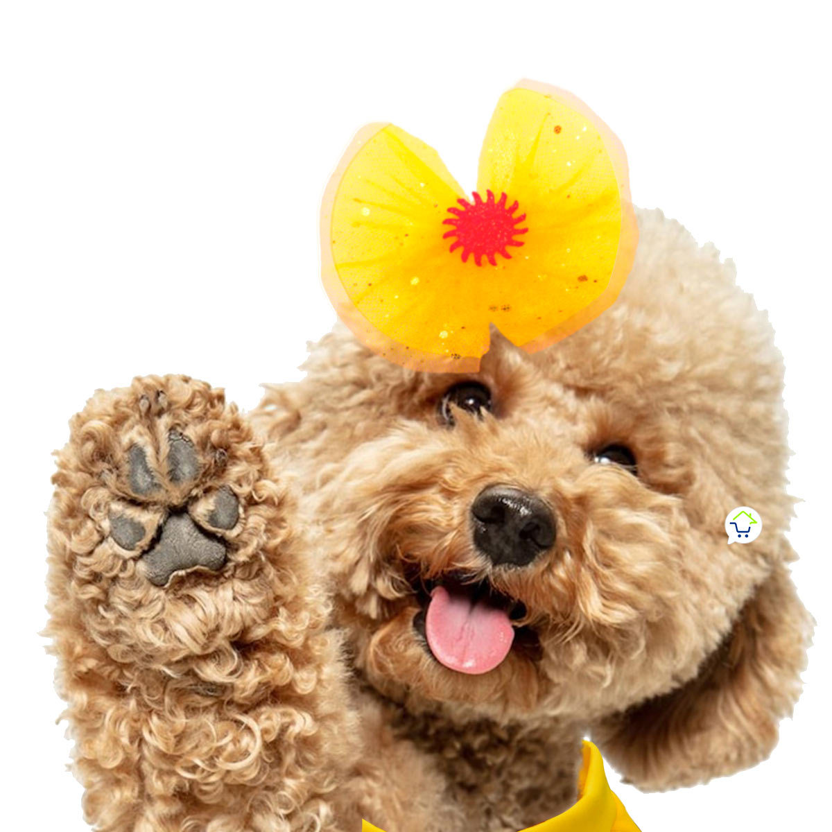 Disfraz para Mascotas de Bella