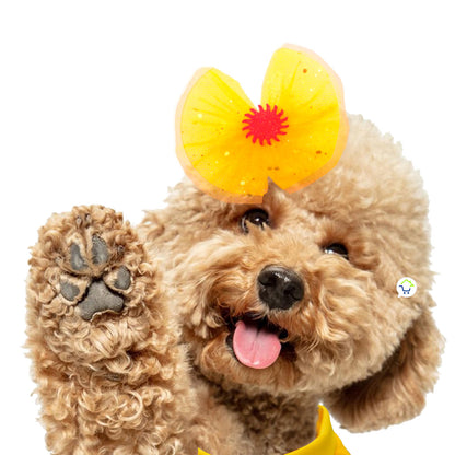 Disfraz para Mascotas de Bella