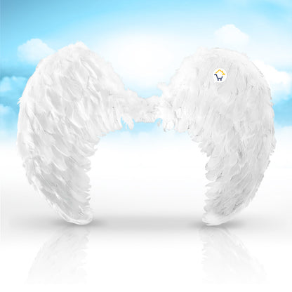 Alas Angel Grande Plumas Halloween