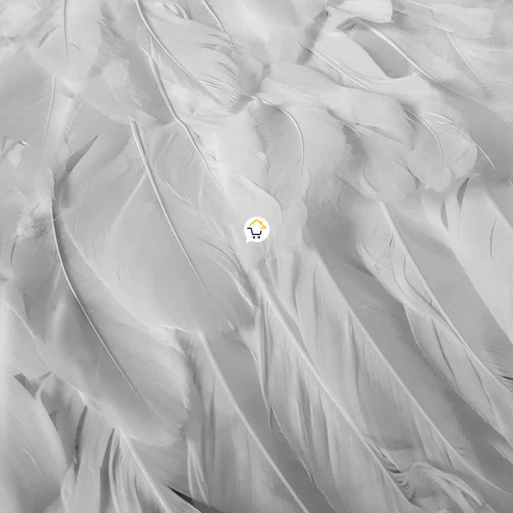 Alas Angel Grande Plumas Halloween