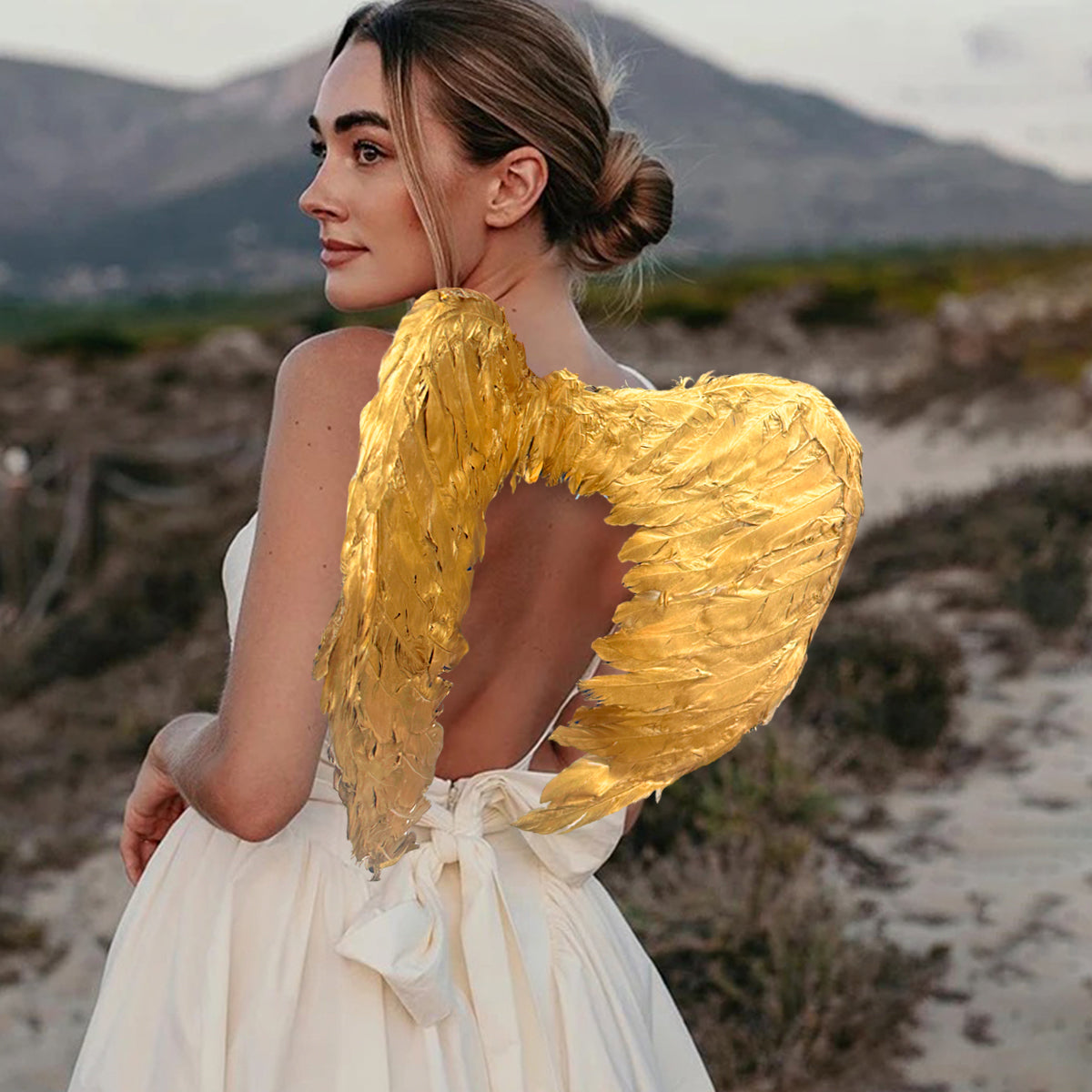 Alas ángel plumas pequeñas