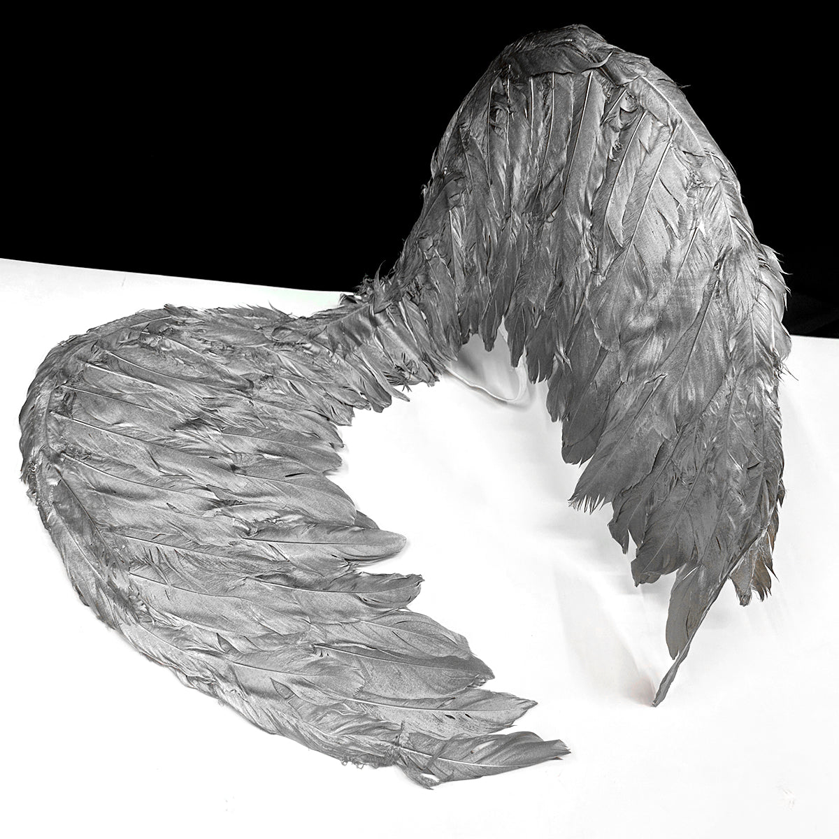 Alas ángel plumas pequeñas