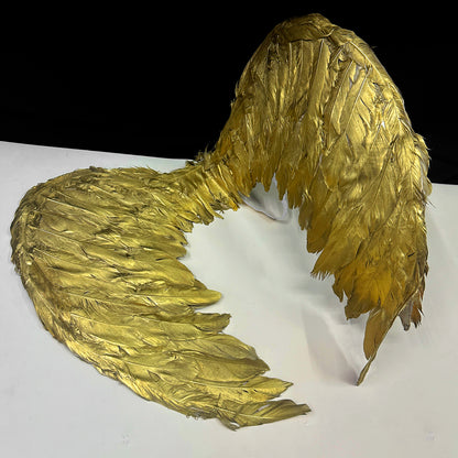 Alas ángel plumas pequeñas