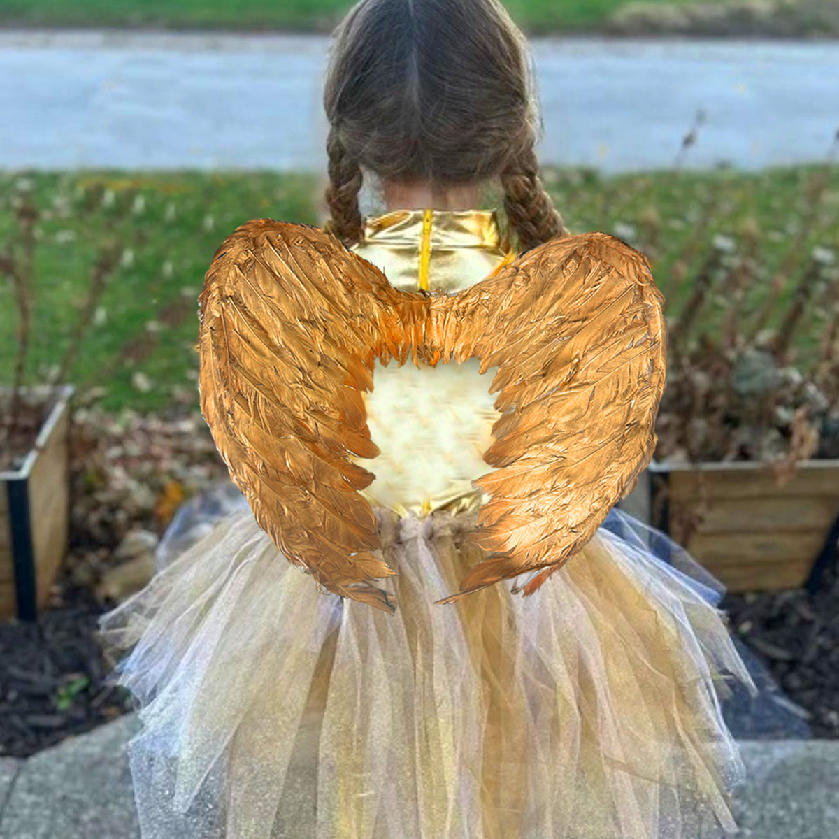 Alas ángel plumas pequeñas