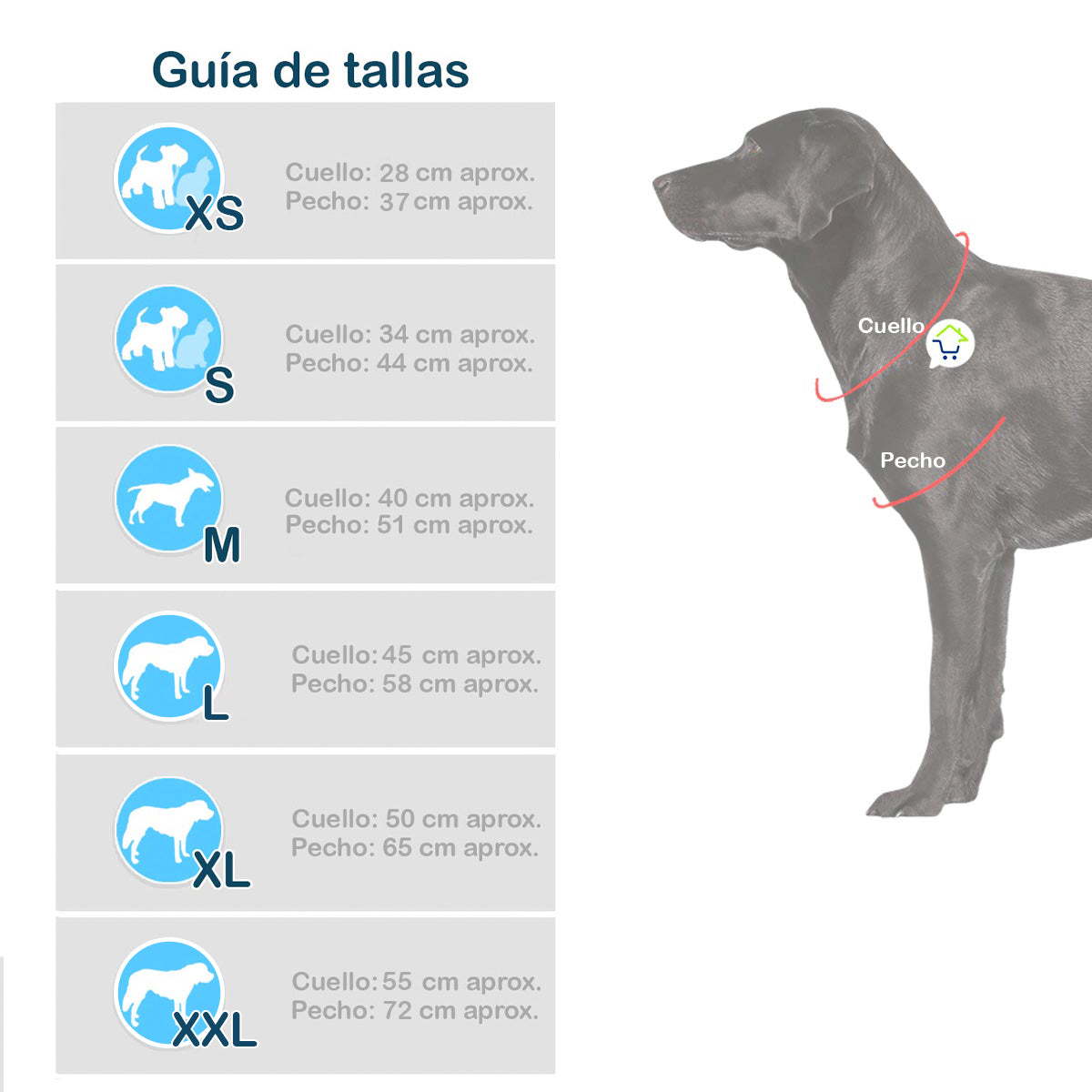 Disfraz para Mascotas de Alicia