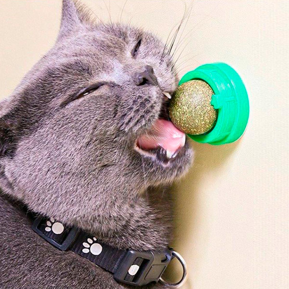 Juguete Para Gatos Anti Estrés