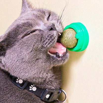 Juguete Para Gatos Anti Estrés