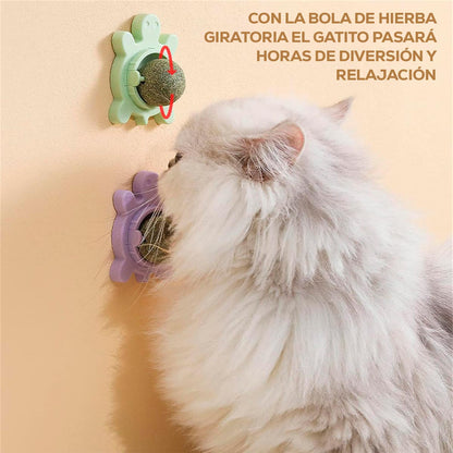 Juguete Para Gatos Anti Estrés
