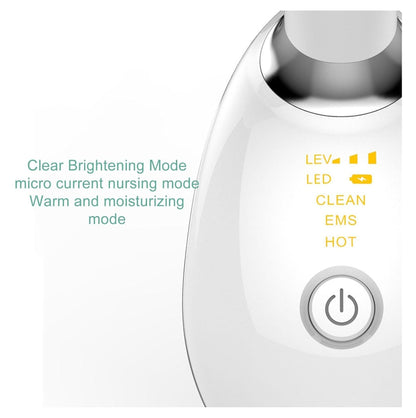 Masajeador Facial Antiedad