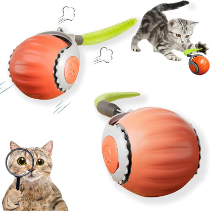 PELOTA INTERACTIVA JUGUETE GATO