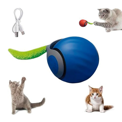PELOTA INTERACTIVA JUGUETE GATO