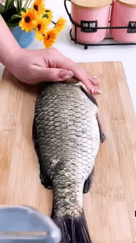 Quita Escamas Ergonómico Antisalpicaduras